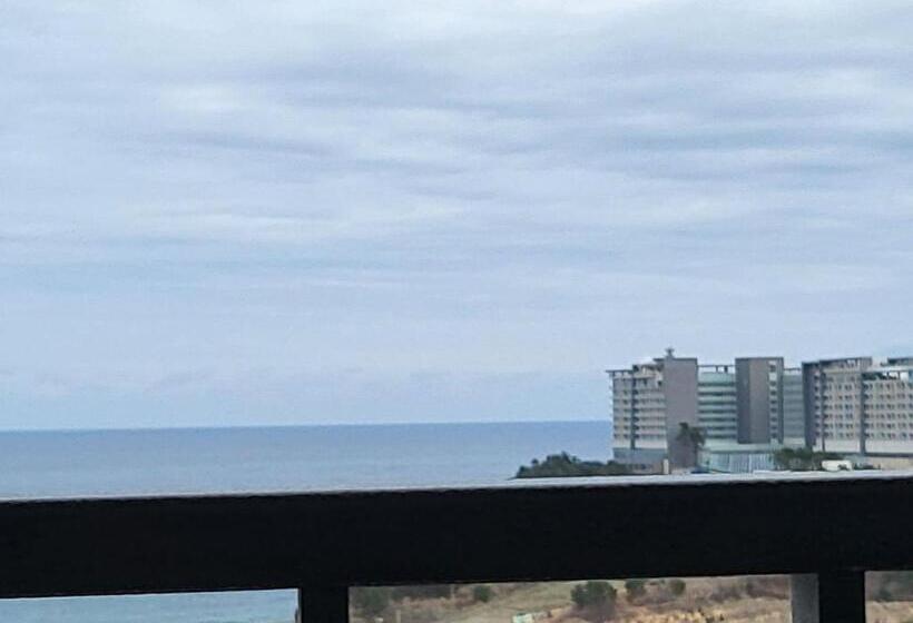 써니오션9블루테라