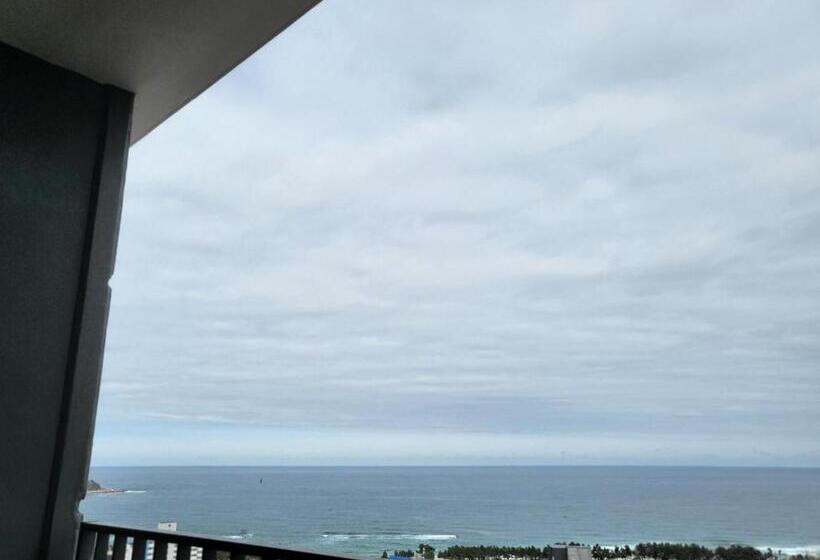 써니오션9블루테라