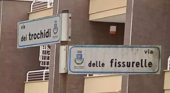 Aamiaismajoitus (B&B) Il Focolare