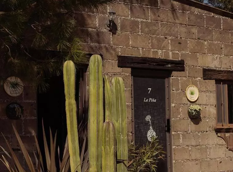 Finca La Devoción Hotel Y Aguas Termales X Tecal Living