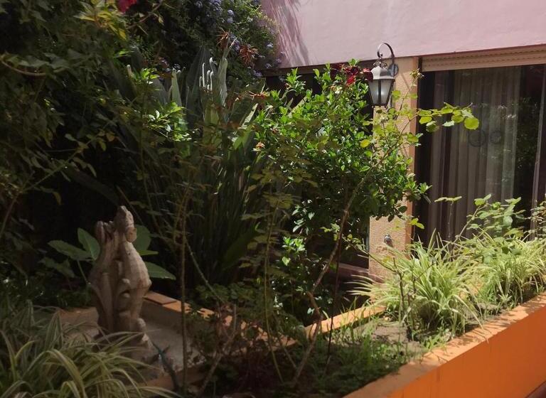 پانسیون Céntrico Femenino Mafalda Viedma