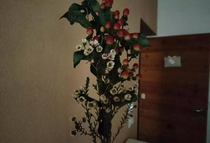 B&b Terre Di Bea