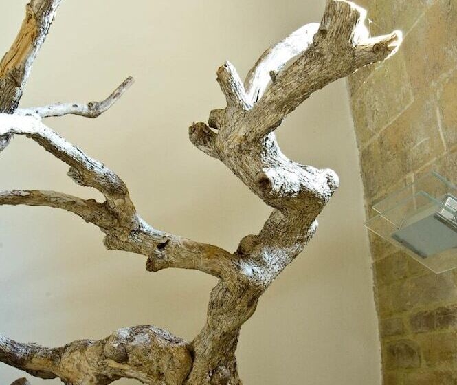 ベッドアンドブレックファースト La Casa Del Palombaro