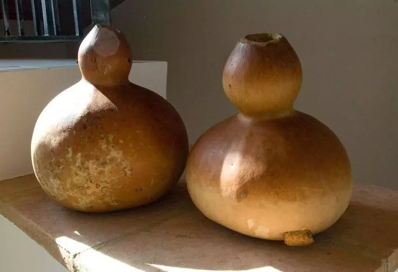 تختخواب و صبحانه La Casa Del Palombaro