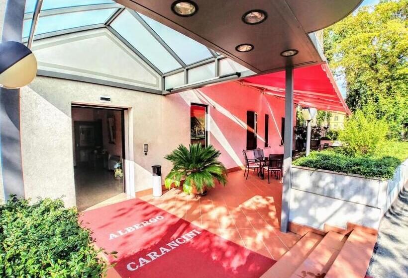 Отель Albergo Carancini