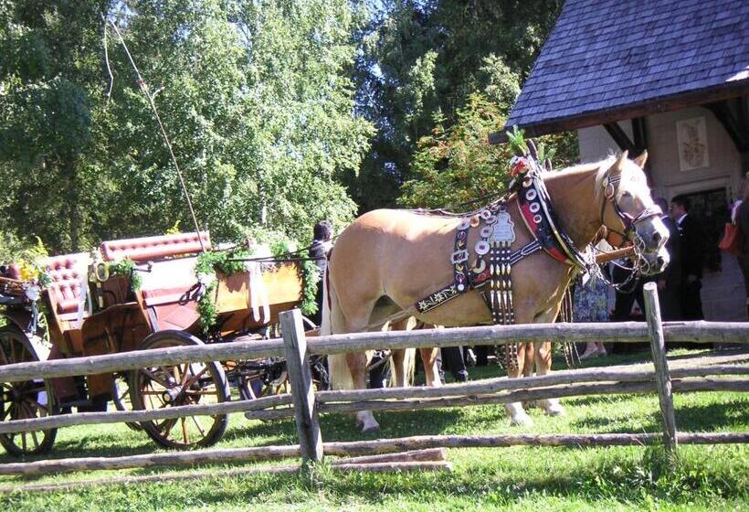 酒店 Ansitz Kematen S