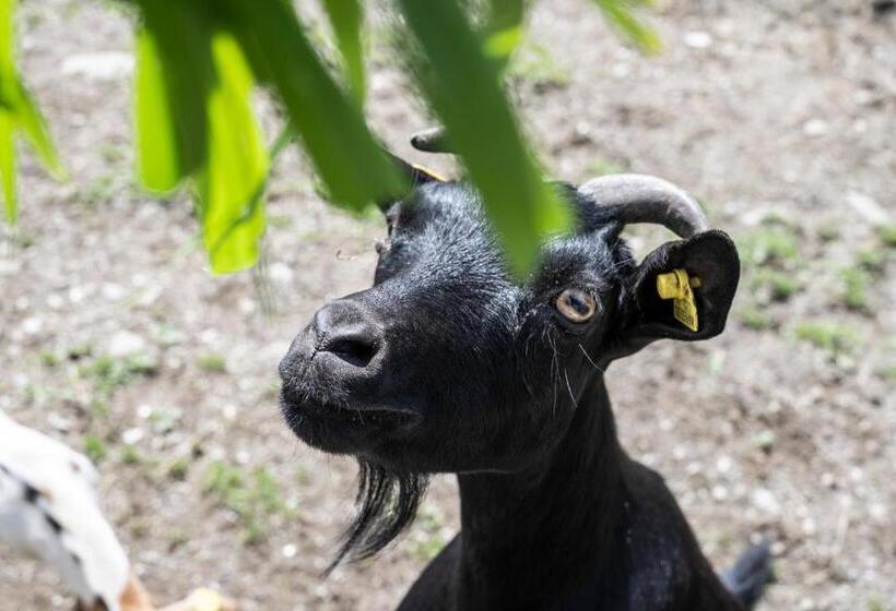 בית מלון כפרי Familienalm Taser