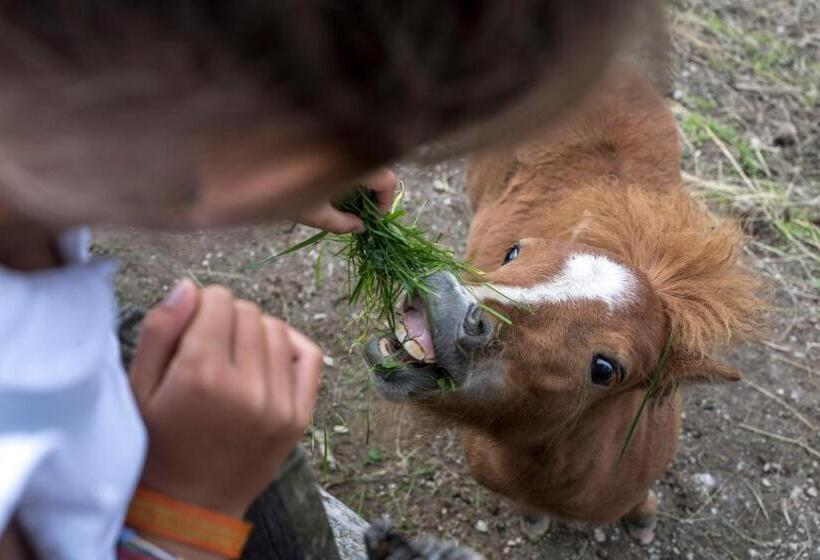 בית מלון כפרי Familienalm Taser
