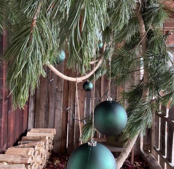 Отель Pension Moarhof