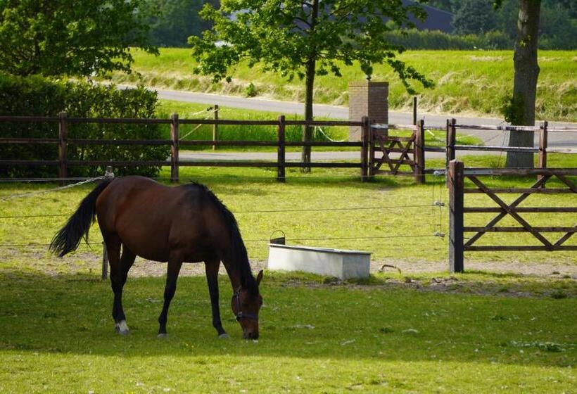 B&b Catharinenburg, Optionele Wellnessfaciliteiten Beschikbaar!