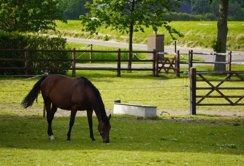 B&b Catharinenburg, Optionele Wellnessfaciliteiten Beschikbaar!