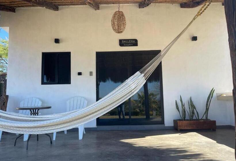 Bungalow Ballena C/vistas Increíbles Al Océano Pacífico