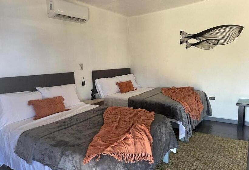 Bungalow Ballena C/vistas Increíbles Al Océano Pacífico