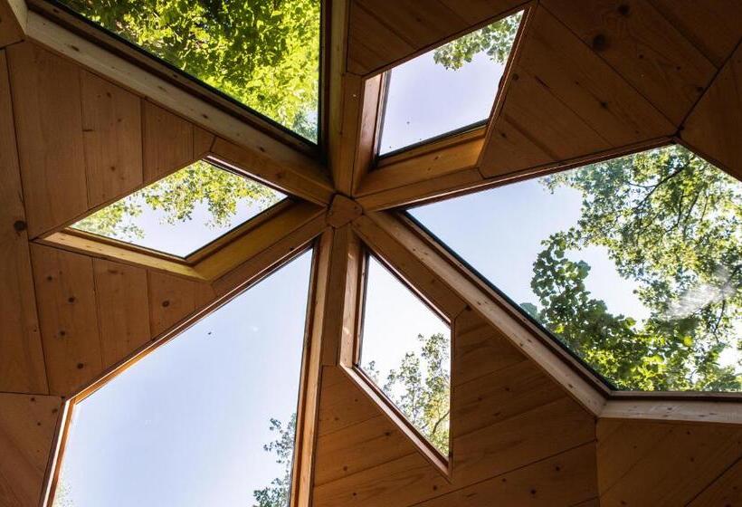 بنسيون Bulles D Olive Zome Céleste