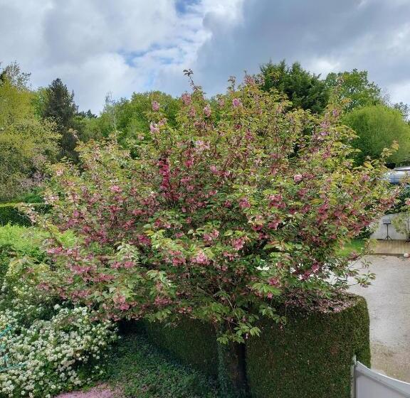 Pensionat Les Mulotières