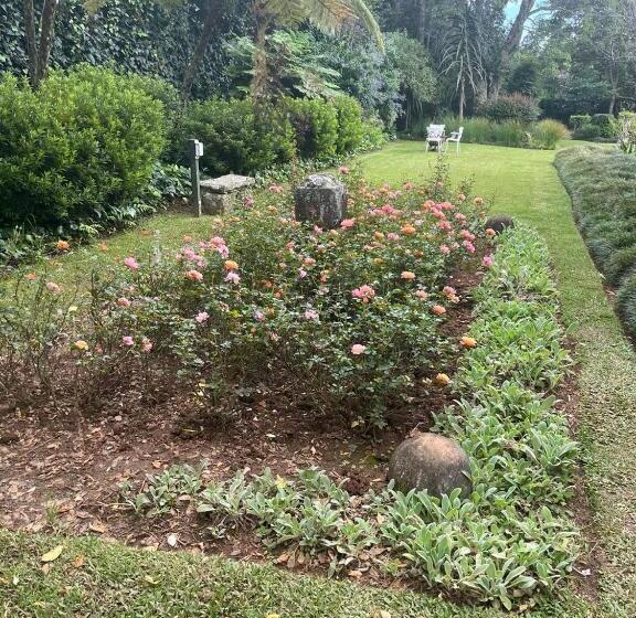 بنسيون The Rose Room