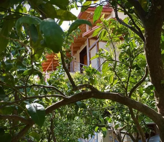 ペンション Villa Berat