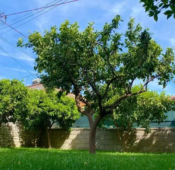 ペンション Villa Berat