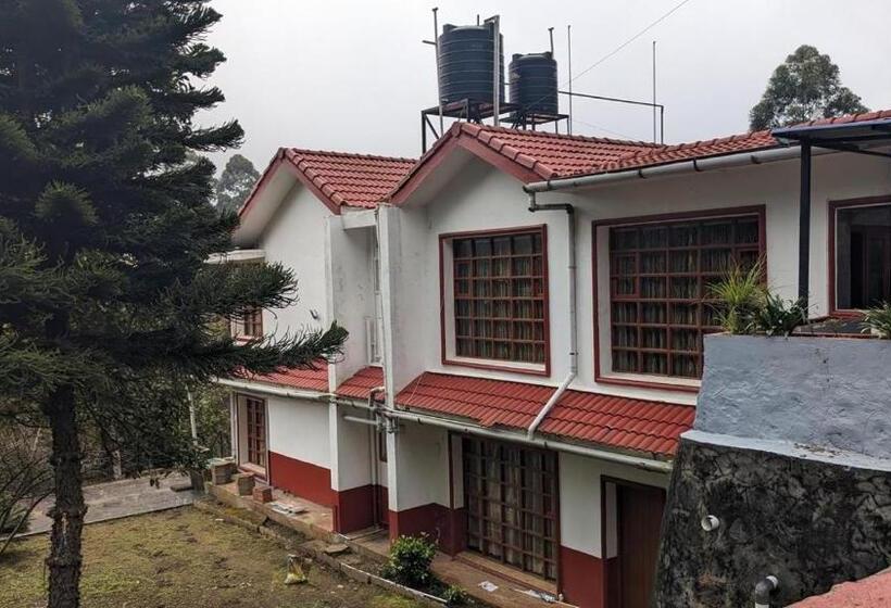 Nocleg ze śniadaniem Tara S Mist