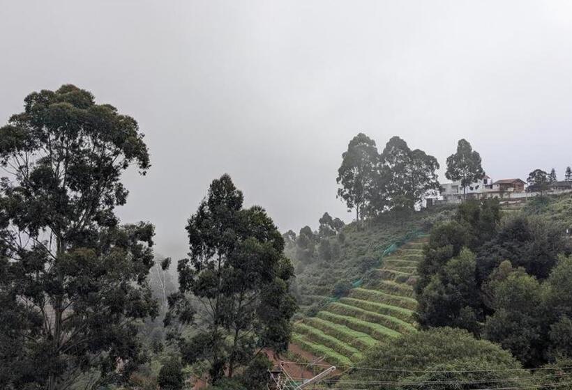 Nocleg ze śniadaniem Tara S Mist