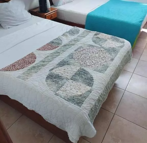 ホテル Canarias Paso Canoas