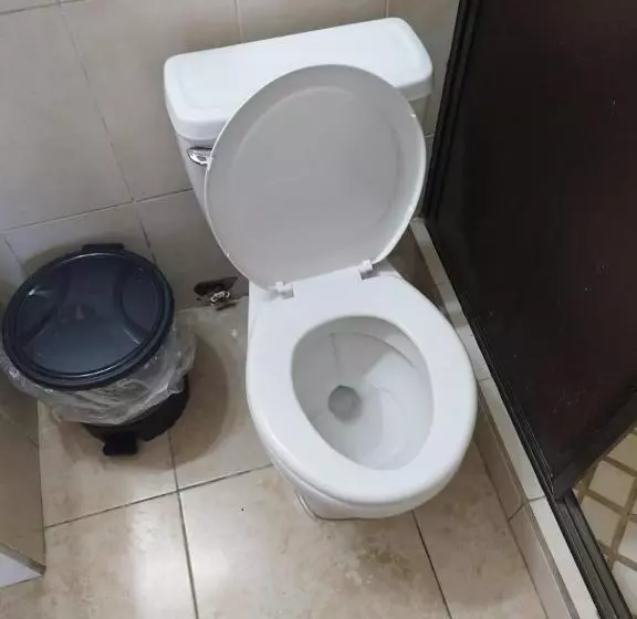ホテル Canarias Paso Canoas