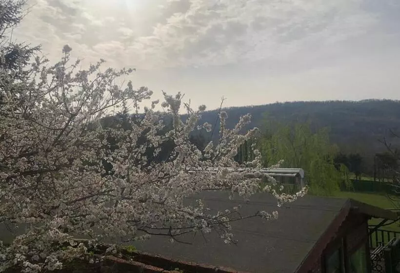 ホテル Hermes Country Club