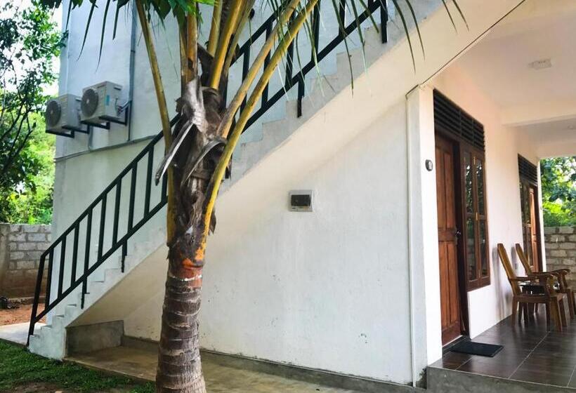 بنسيون Kings Villa