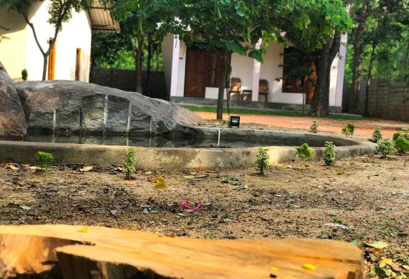 بنسيون Kings Villa