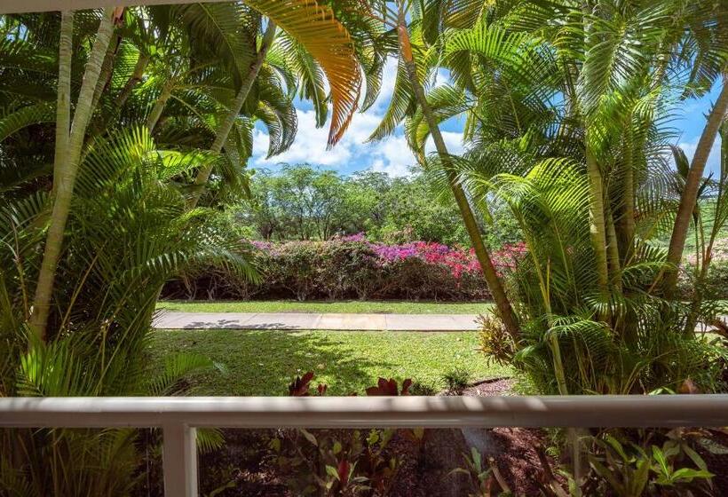 Central Kihei Gem! 3 Min Walk To The Beach & Shops