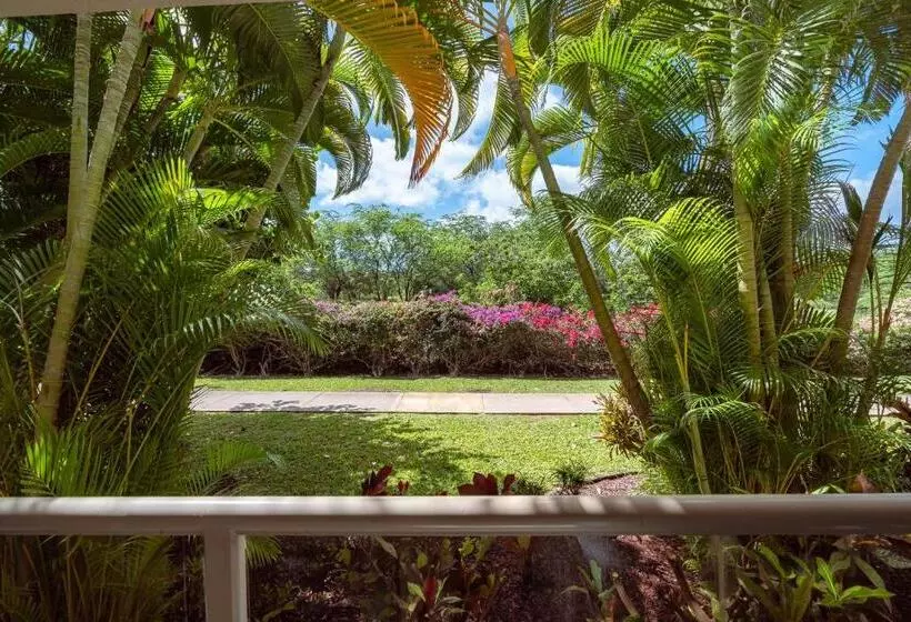 Central Kihei Gem! 3 Min Walk To The Beach & Shops