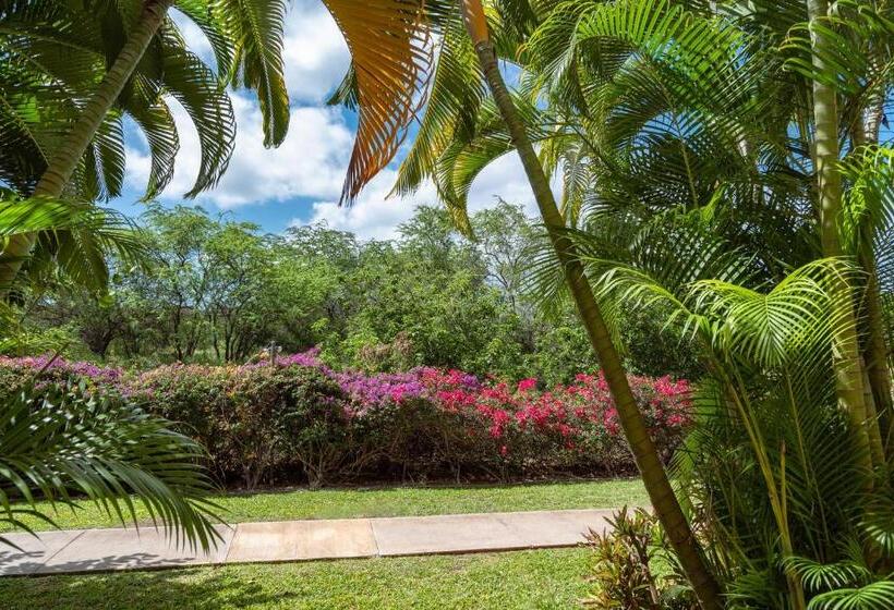 Central Kihei Gem! 3 Min Walk To The Beach & Shops