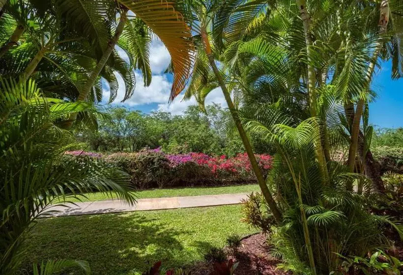 Central Kihei Gem! 3 Min Walk To The Beach & Shops