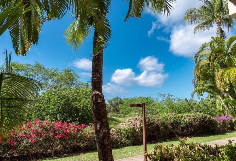 Central Kihei Gem! 3 Min Walk To The Beach & Shops