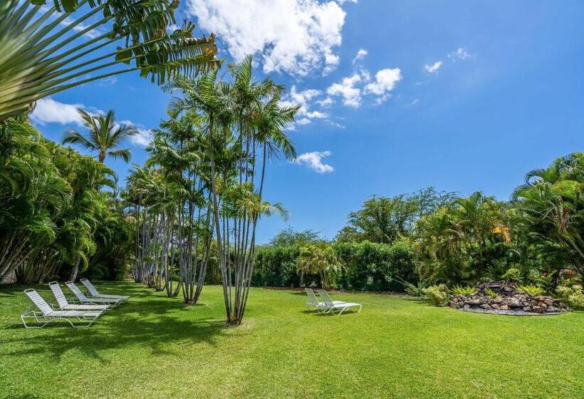 Central Kihei Gem! 3 Min Walk To The Beach & Shops