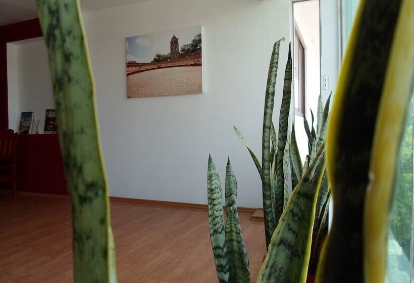 酒店 María Bonita