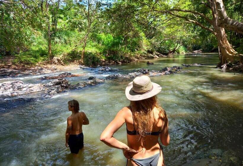 Hotel River View Safari Cottage