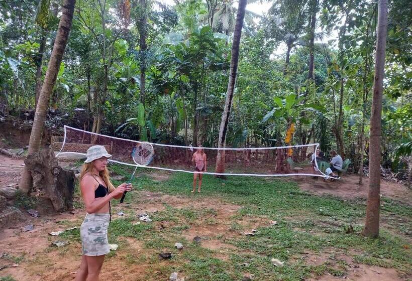 Hotel River View Safari Cottage