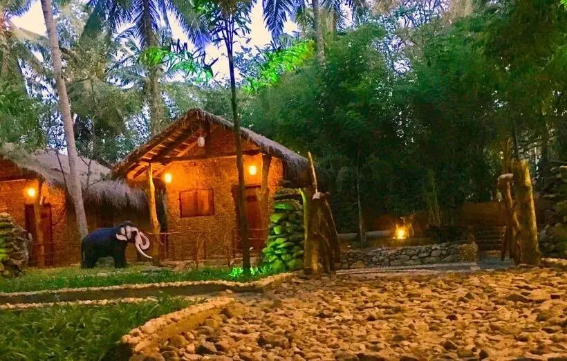 ホテル River View Safari Cottage