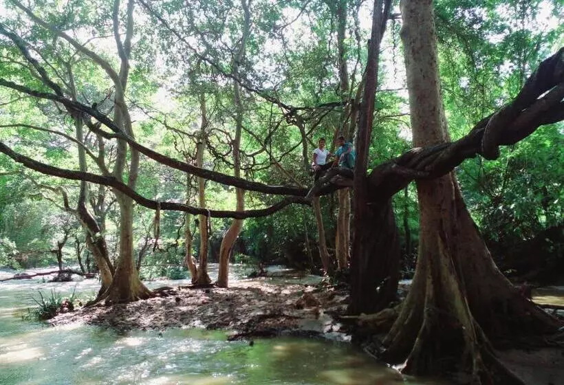 ホテル River View Safari Cottage