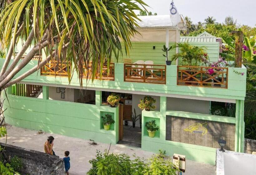 Otel Turtle Maldives