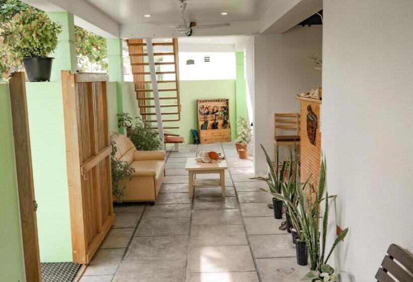 Otel Turtle Maldives