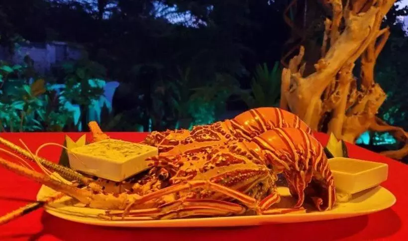 هتل Turtle Maldives