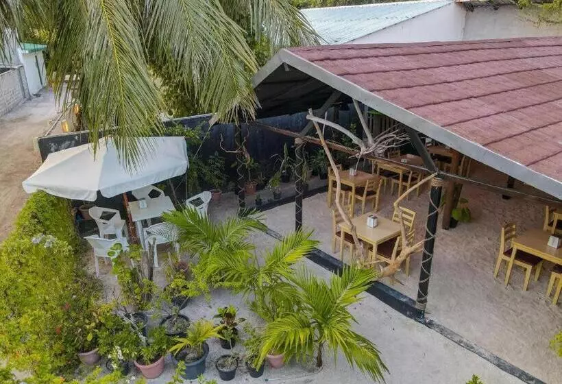 هتل Turtle Maldives