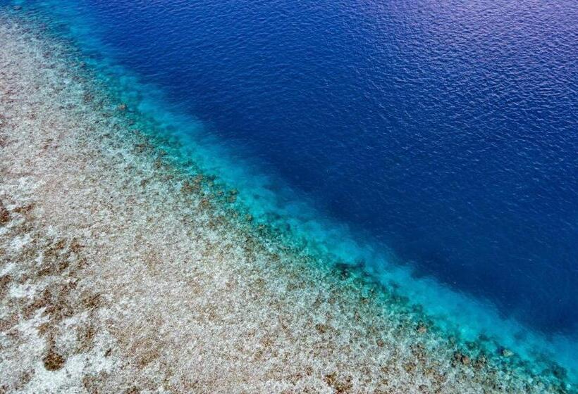 Otel Turtle Maldives