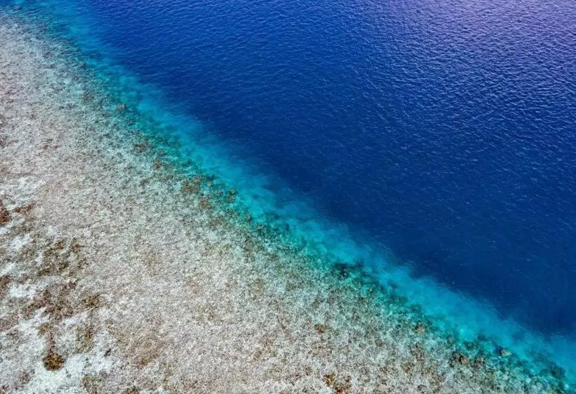 هتل Turtle Maldives