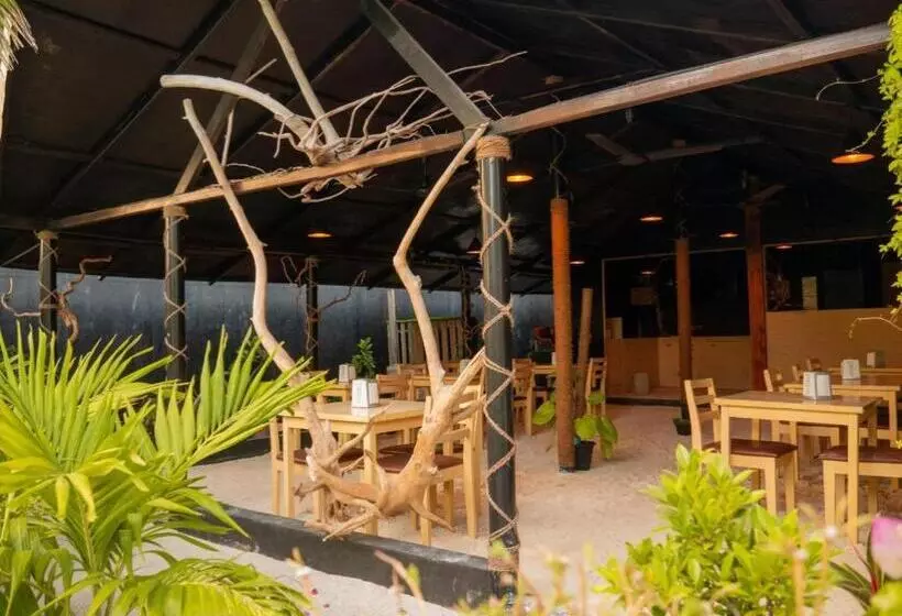 هتل Turtle Maldives