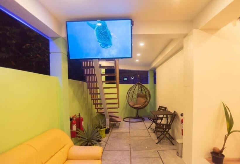 Otel Turtle Maldives