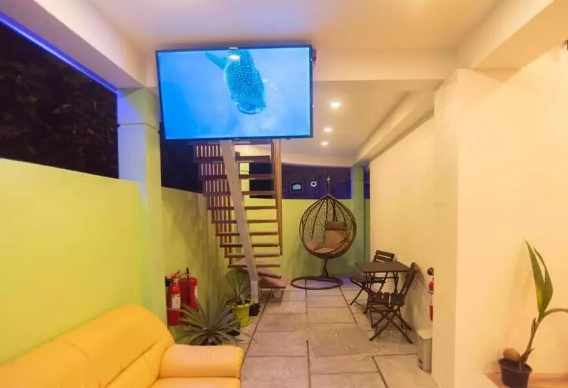 هتل Turtle Maldives