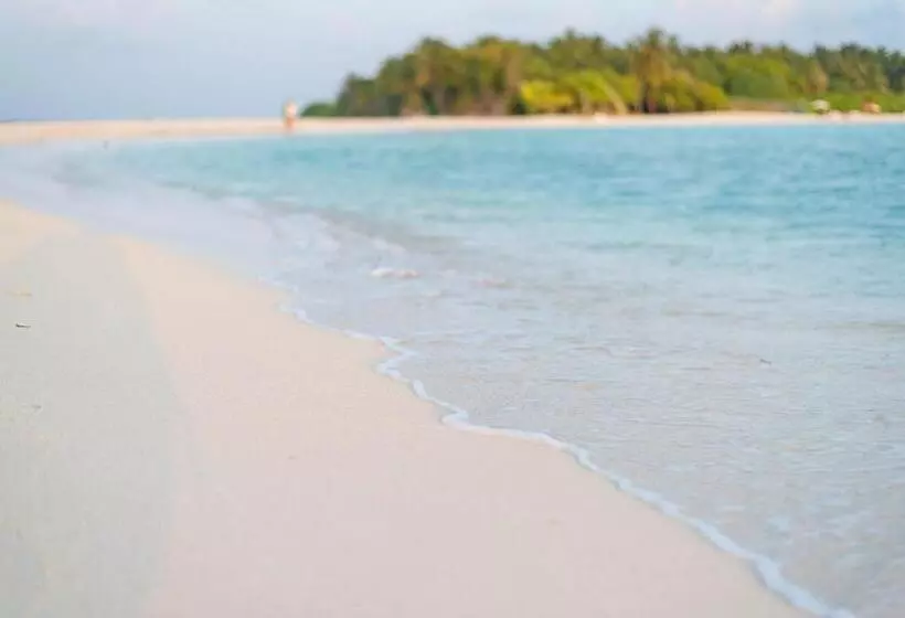 هتل Turtle Maldives